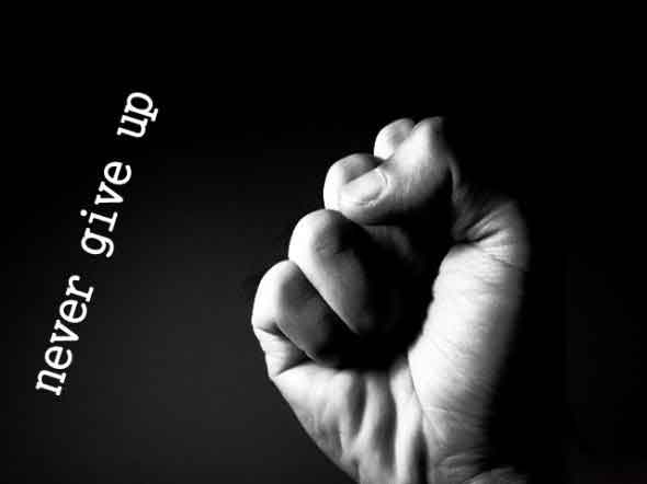 美国MBA专业学位有哪些