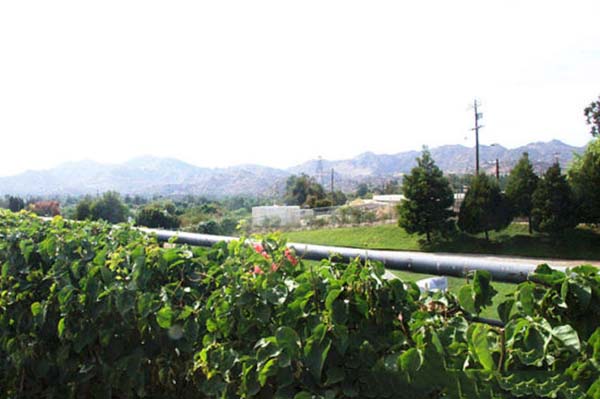 美国蓝带高中是什么 美国蓝带高中是什么